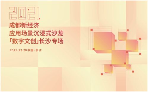 蓉湘共話數(shù)字文創(chuàng) 成都新經(jīng)濟應用場景沉浸式沙龍落地長沙